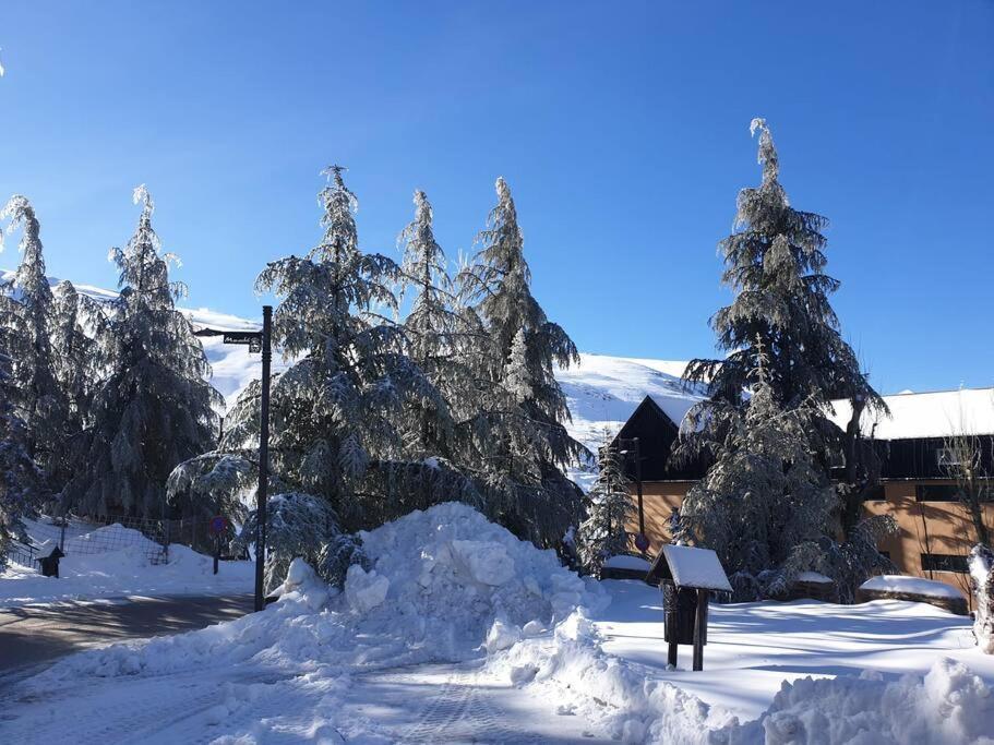 Sierra Nevada 2 Habitaciones Excelente Ubicacion Екстериор снимка